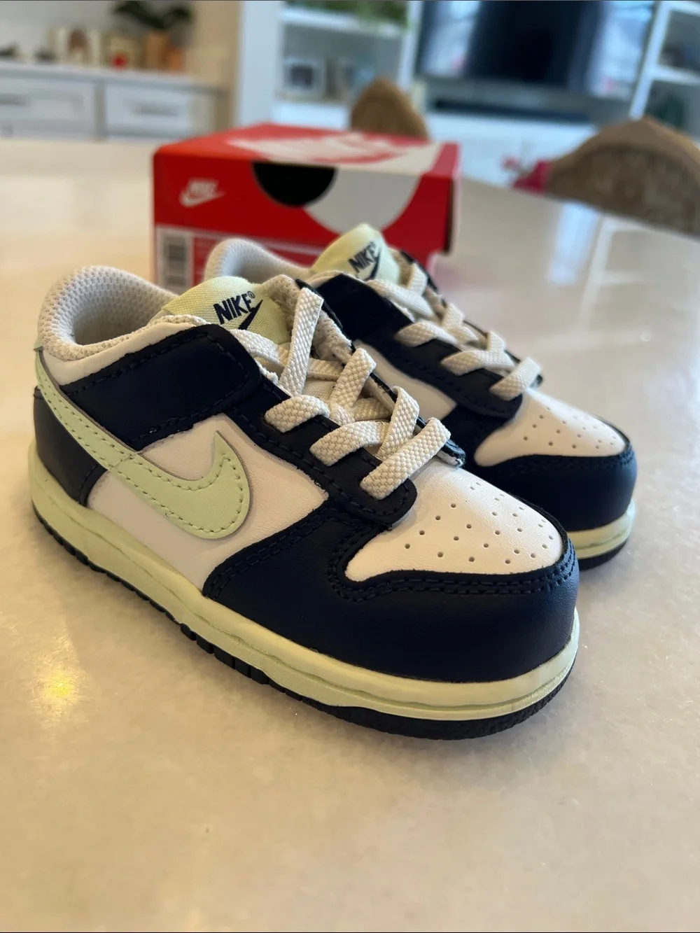 Nike Dunk Low Kids Low-Top Sneakers in Navy and Pale Green